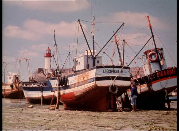 ST1: ST001 USB 1.0  Parent